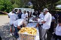ELBA2019 (3)